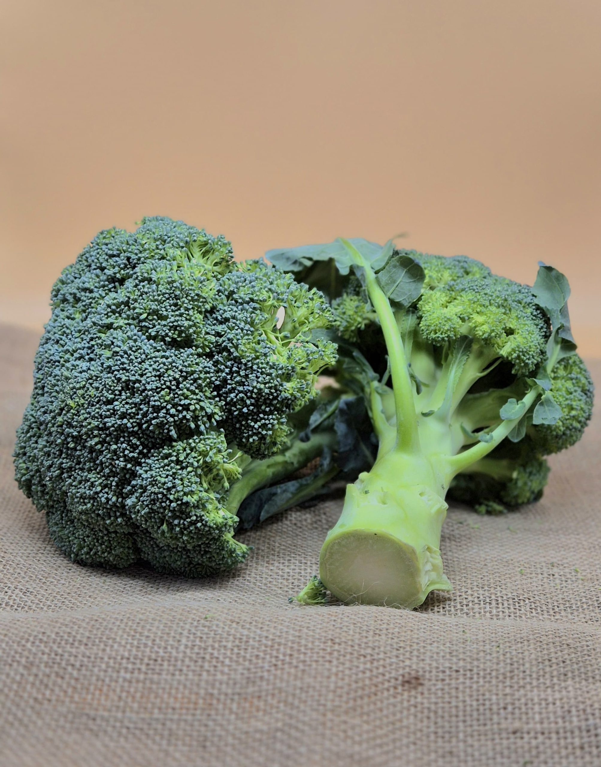 832448d9-c911-4f4f-ac40-1cf29bf379fb